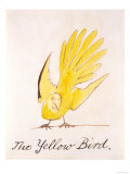 Yellow Bird