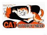 Cat Butterfly Chaser