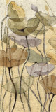 Fluidity II