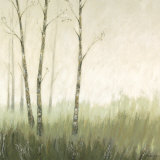 Birch Wood