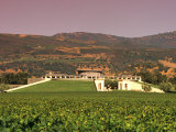 Opus One Winery  Napa Valley  California