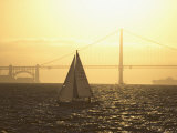 Sailboat on San Francisco Bay  San Francisco  California