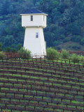 Silver Oak Cellars  Alexander Valley Wine Country  California