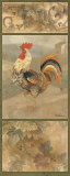 White Rooster
