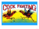 Cock Fighting