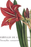 Botanique I