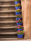 Staircase Decorated with Flower Pots  Santa Fe  New Mexico