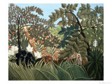 Exotic Landscape