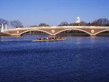 Sculling on the Charles River  Harvard University  Cambridge  Massachusetts