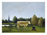 View Surrounding Paris