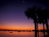 Sarasota Sunset  Florida