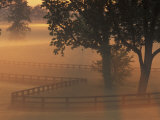 Foggy Sunrise on Horse Farm  Kentucky