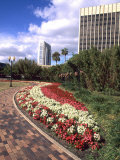 Park Area with Skyline  Orlando  Florida