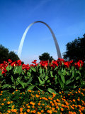 Famous St Louis Arch  Archway Park  St Louis  Missouri