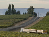 Columbia Crest Winery  Yakima  Washington