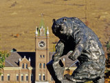 Grizzly Bear Statue at University of Montana  Missoula  Montana