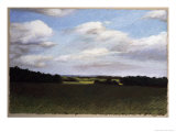 Evening Landscape in Summer