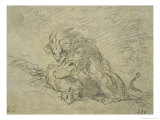 Lion Devorant Une Brebis