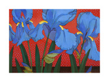 Irises and Red