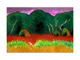 Amazon Jungle