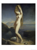 Venus Marine