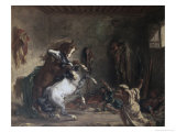 Arabian Horses Fighting in a Stable