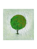 Seasons: Spring