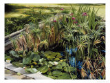 Pond Garden in Augusta