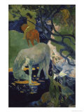 Le Cheval Blanc