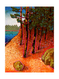 Maine Hillside