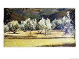 Study of Olive Trees  no2