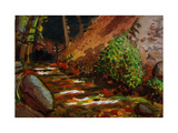 Brook at Kit Carson State Forest