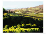 Midday in Tuscany