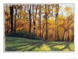 Early Fall Trees