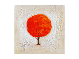 Seasons: Fall