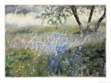 Field with Blue Flowers