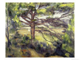 Great Pine and Red Earth  c1885