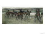Race Horses