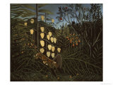Tropical Forest: Battling Tiger and Bull