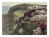 Our English Coasts