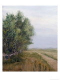 Country Lane