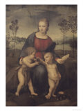 Madonna of the Goldfinch