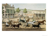 Going to the Trot
