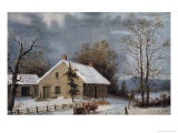 Winter Wood