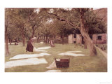 The Bleaching Ground