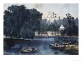The Rural Lake
