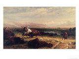 Last of the Buffalo