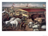 Sights at the Fair Ground
