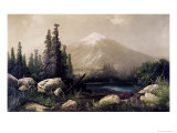 Mount Shasta  California
