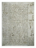 Codex Leicester: River Theories